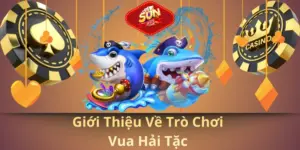 Giới thiệu về trò chơi vua hải tặc
